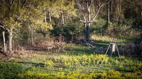 60.73 Ac Tbd Jackrabbit Lane Bryan TX 77808