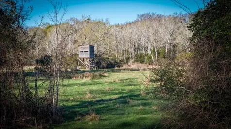 60.73 Ac Tbd Jackrabbit Lane Bryan TX 77808