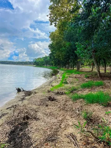 Lot 31- Lcr 882 Limestone County Road Jewett TX 75846