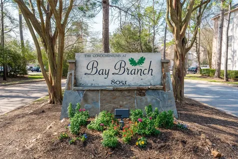 8051 Bay Branch Drive 314 The Woodlands TX 77382