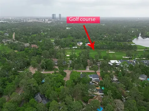 3 Roserush Court The Woodlands TX 77380