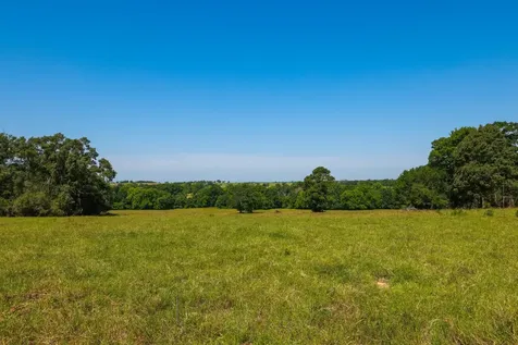 Tract #9 Cr 305 Road Navasota TX 77868