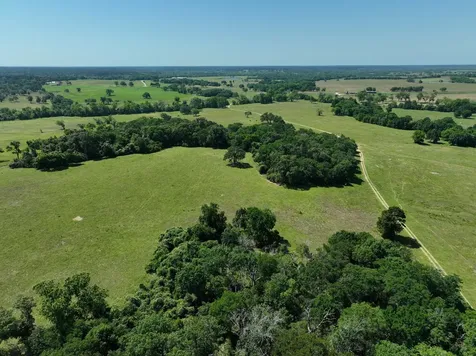 Tract #9 Cr 305 Road Navasota TX 77868