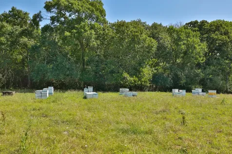 Tract #9 Cr 305 Road Navasota TX 77868