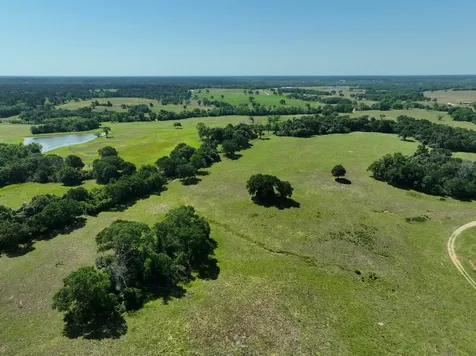 Tract #9 Cr 305 Road Navasota TX 77868