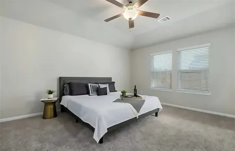 205 Cresta Cove Court Montgomery TX 77316