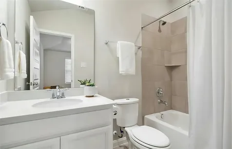 205 Cresta Cove Court Montgomery TX 77316