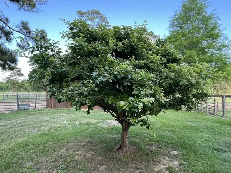 12494-725B Hill Creek Road Montgomery TX 77356