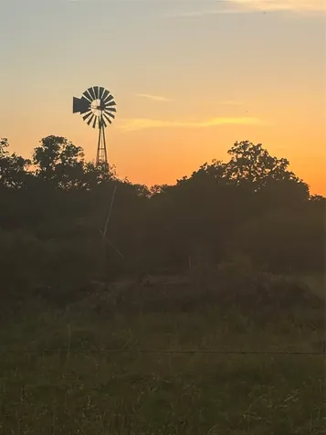 000 Highway 97 Waelder TX 78959