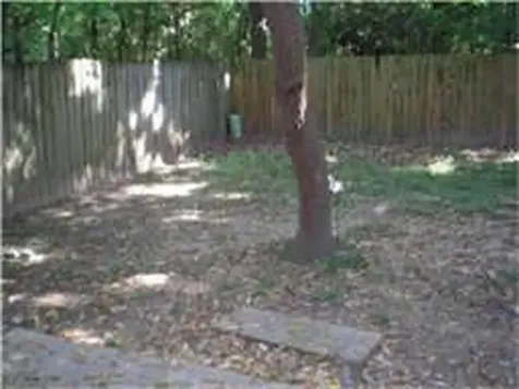 71 S Wavy Oak Circle The Woodlands TX 77381