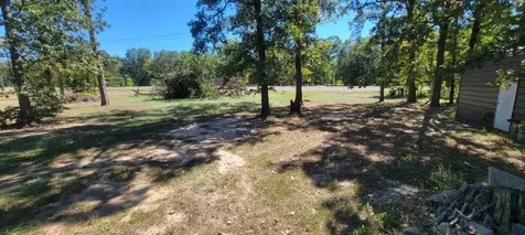 000 Palmetto Drive Livingston TX 77351