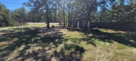 000 Palmetto Drive Livingston TX 77351