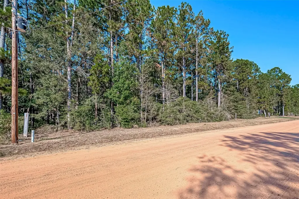 0 Oak Ridge Street Cleveland TX 77328