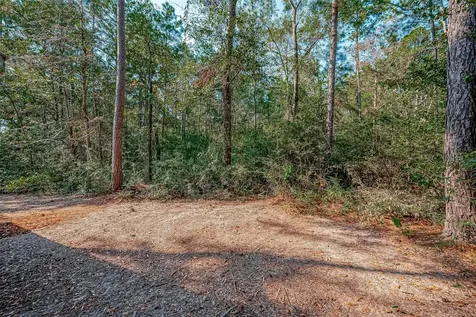 0 Oak Ridge Street Cleveland TX 77328