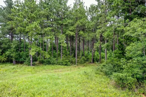 15.573 Ac Cr 1050 Crockett TX 75835