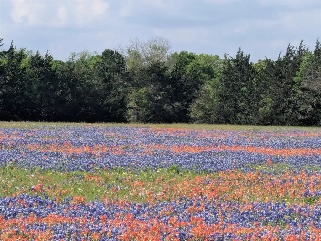 0010 Fm 2562 Road Anderson TX 77830