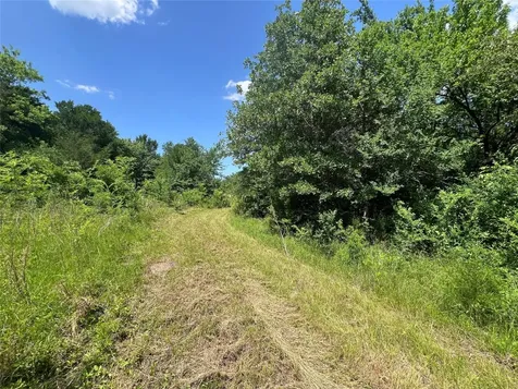0010 Fm 2562 Road Anderson TX 77830