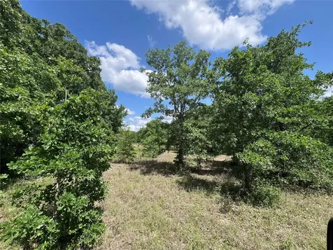 0010 Fm 2562 Road Anderson TX 77830