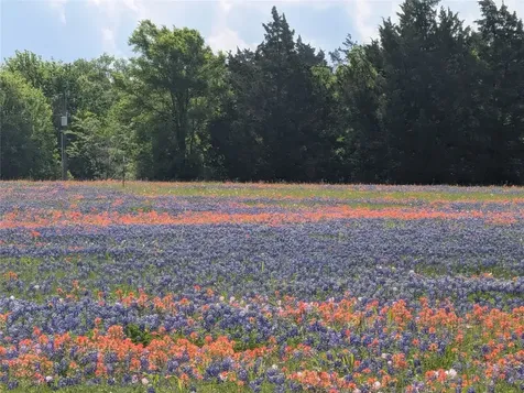 0010 Fm 2562 Road Anderson TX 77830