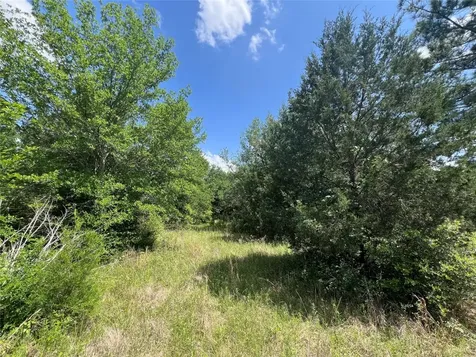 0010 Fm 2562 Road Anderson TX 77830