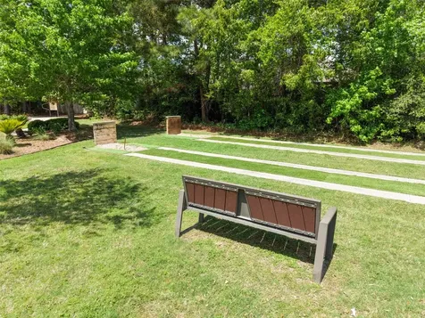 102 Bellardia Court Montgomery TX 77316