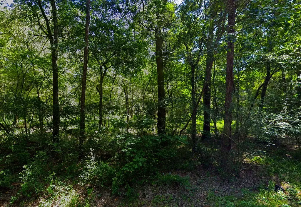 0 Pine Creek Road Hockley TX 77447