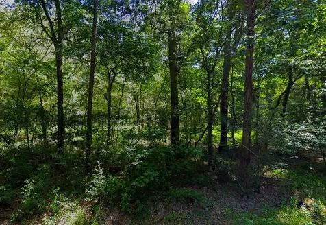 0 Pine Creek Road Hockley TX 77447