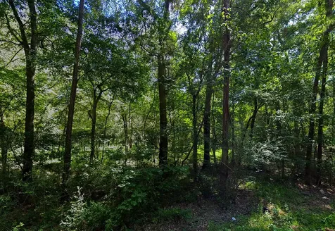 0 Pine Creek Road Hockley TX 77447