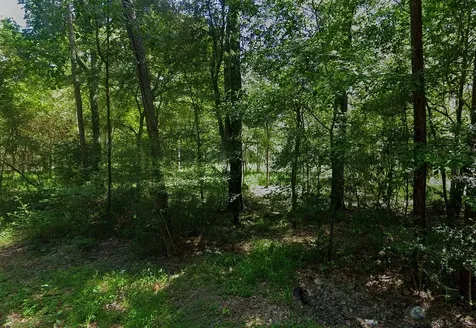 0 Pine Creek Road Hockley TX 77447