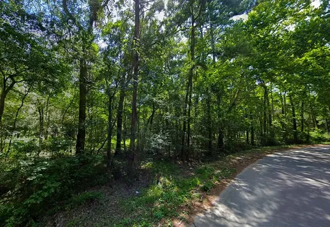 0 Pine Creek Road Hockley TX 77447