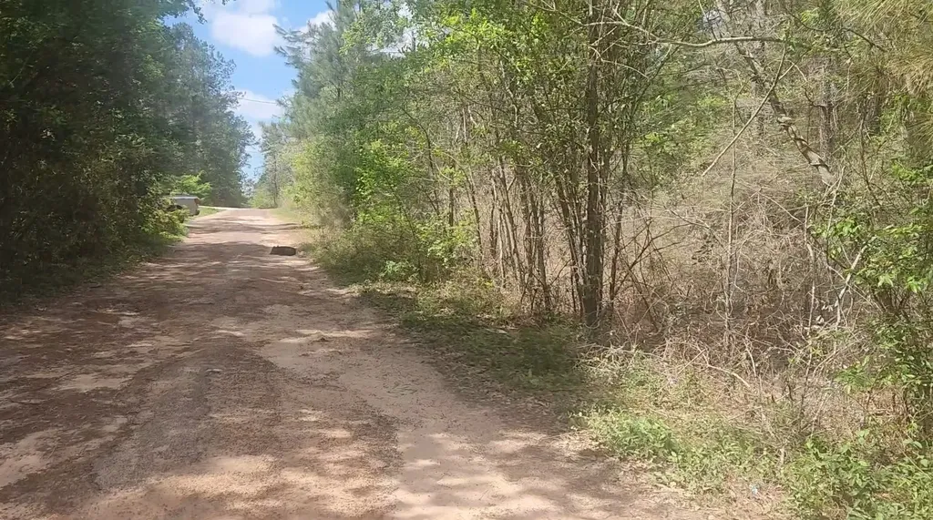Lot 8 Yupon Lane Plantersville TX 77363