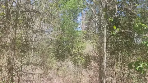 Lot 8 Yupon Lane Plantersville TX 77363