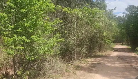Lot 8 Yupon Lane Plantersville TX 77363