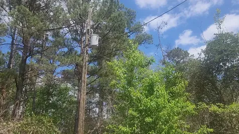 Lot 8 Yupon Lane Plantersville TX 77363