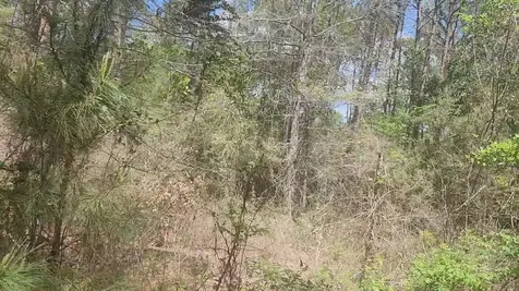 Lot 8 Yupon Lane Plantersville TX 77363