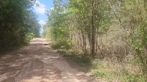 Lot 8 Yupon Lane Plantersville TX 77363