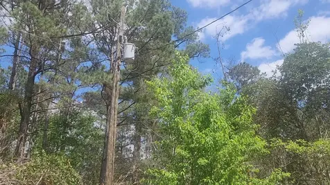 Lot 8 Yupon Lane Plantersville TX 77363