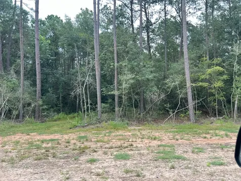 0000 Evergreen Lot 8 Fm 362 Road Waller TX 77484