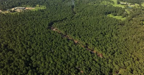 0000 Evergreen Lot 8 Fm 362 Road Waller TX 77484