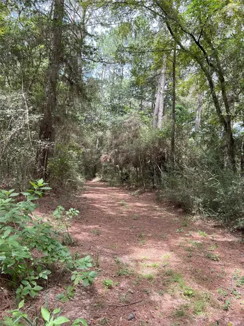 0000 Evergreen Lot 8 Fm 362 Road Waller TX 77484