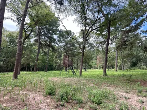 0000 Evergreen Lot 8 Fm 362 Road Waller TX 77484