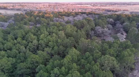 0000 Evergreen Lot 8 Fm 362 Road Waller TX 77484