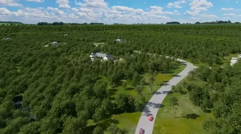0000 Evergreen Lot 8 Fm 362 Road Waller TX 77484