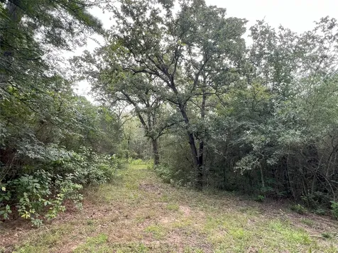 0000 Evergreen Lot 8 Fm 362 Road Waller TX 77484