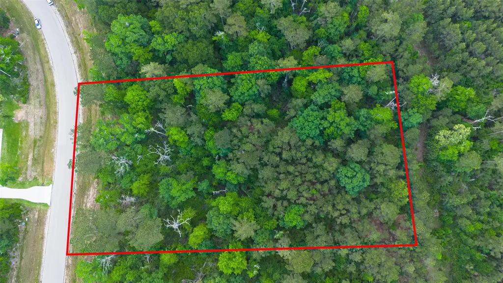 186 Exploration Road New Waverly TX 77358
