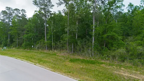 186 Exploration Road New Waverly TX 77358