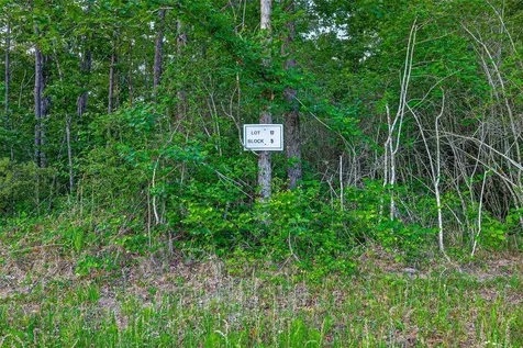 186 Exploration Road New Waverly TX 77358