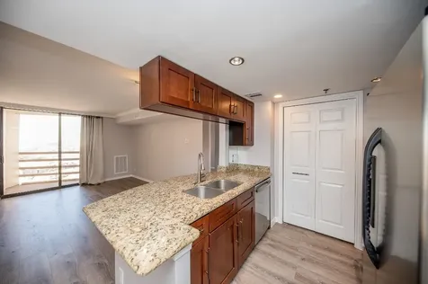 3525 Sage Road 1612 Houston TX 77056