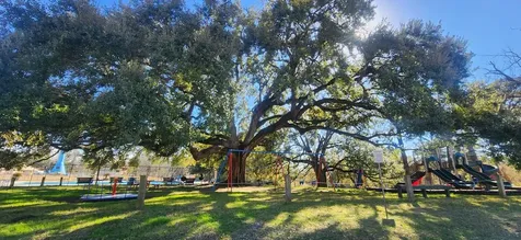 3319 Shadowcrest Lane Spring TX 77380