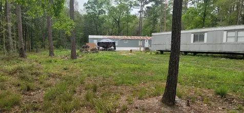 451 N Higgins Shepherd TX 77371